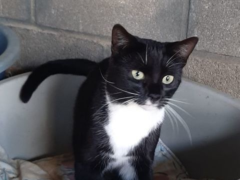 KEIRA 220 27620 Gasny