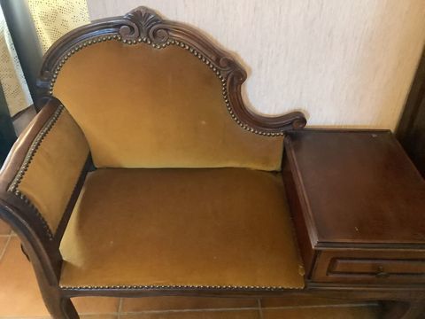 A vendre bergere 250 Aubin (12)