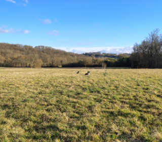  Terrain � vendre 1157 m�