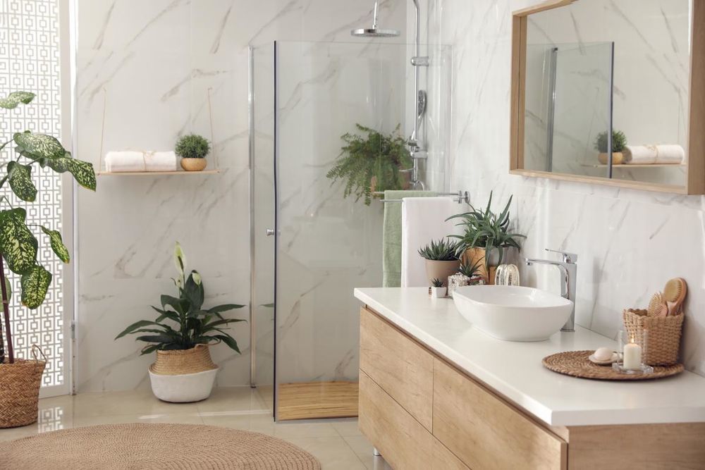 Appartements neufs   Montpellier (34000)