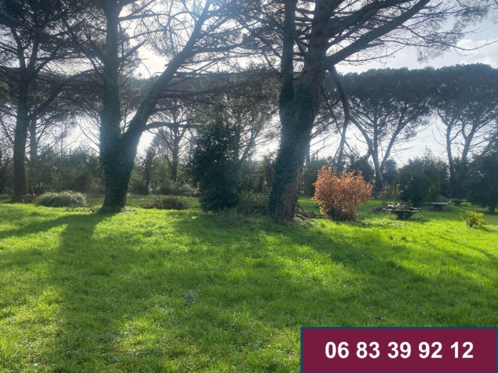 Maisons neuves   Bajamont (47480)