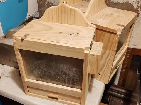Caisson pour l'&eacute;colage des oiseaux chanteur 30 95100 Argenteuil