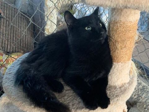 DRAKO 180 27620 Gasny