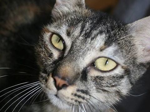 Noisette 185 94400 Vitry-sur-seine