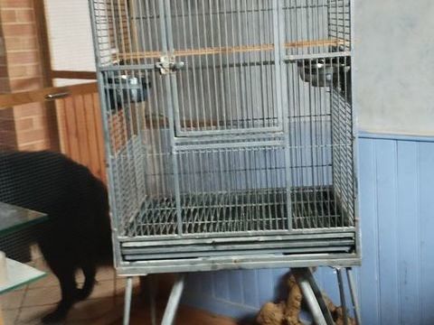 Cage oiseaux 1,62 avec pied 30 02700 Fri�res-faillou�l