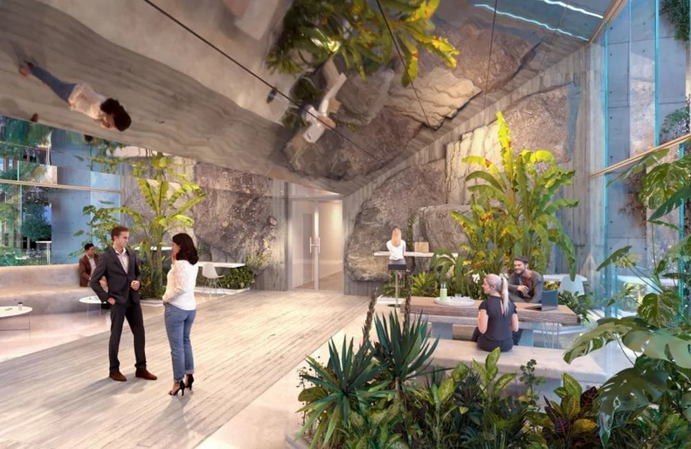 Appartements neufs   Montpellier (34000)