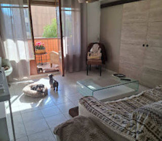  Appartement � vendre 3 pi�ces 62 m�