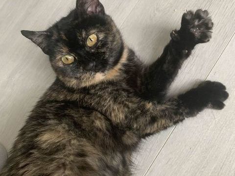 Magnat 200 44000 Nantes