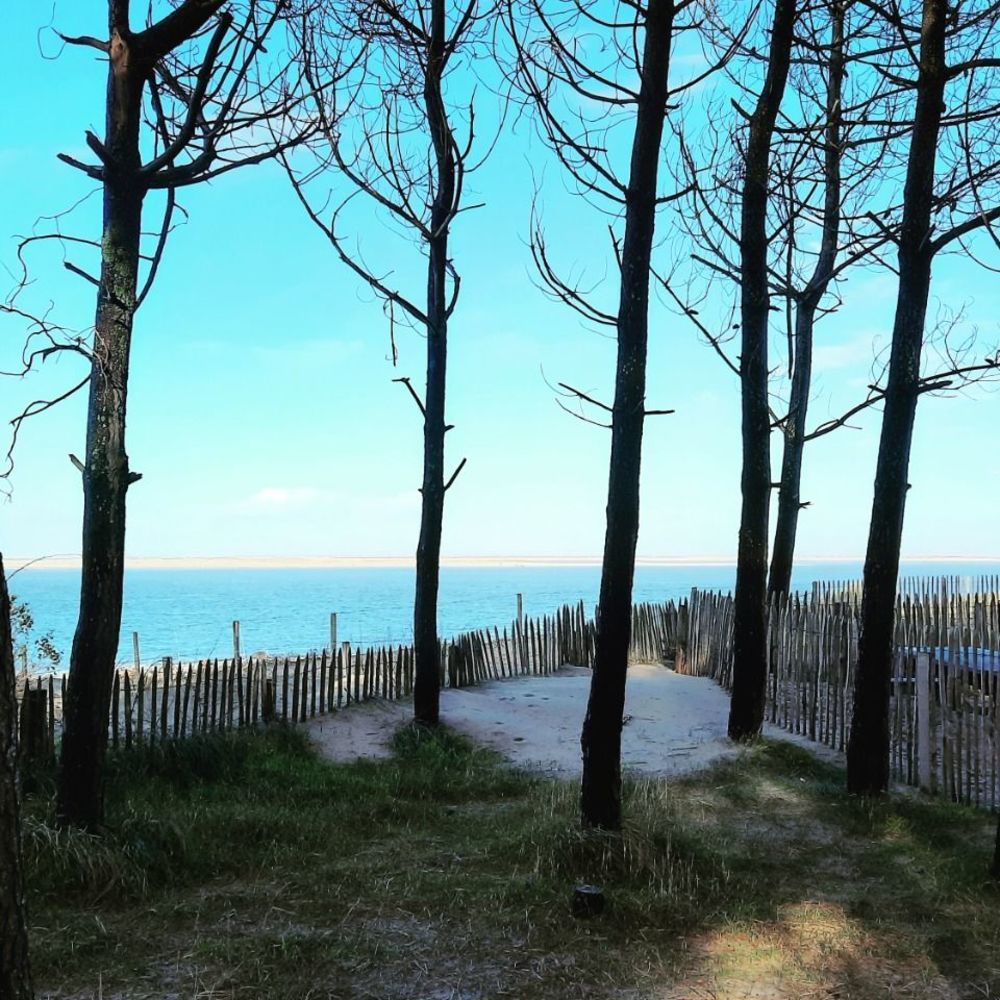   Pyla Sur Mer (33115)