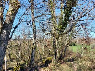  Terrain � vendre 8000 m�