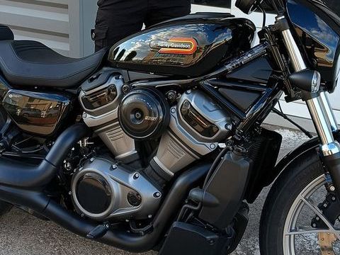 Moto HARLEY-DAVIDSON 2023 occasion Canet-en-Roussillon 66140