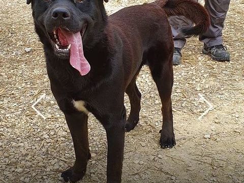 Malo 230 26700 Pierrelatte