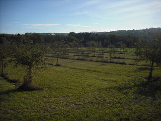  Terrain � louer 1500 m�