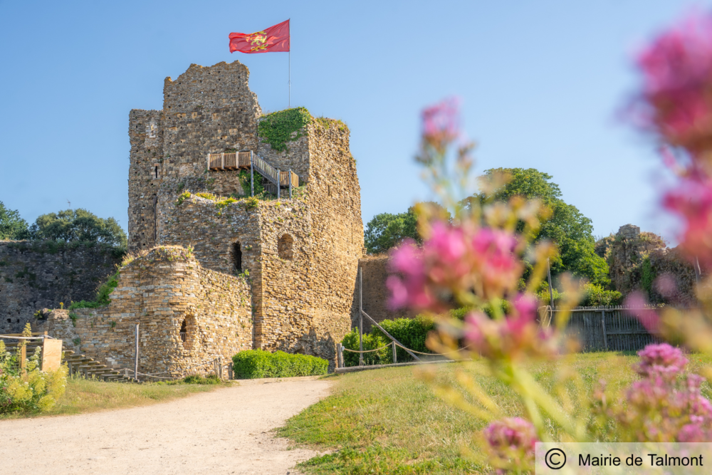 Appartements neufs   Talmont-Saint-Hilaire (85440)