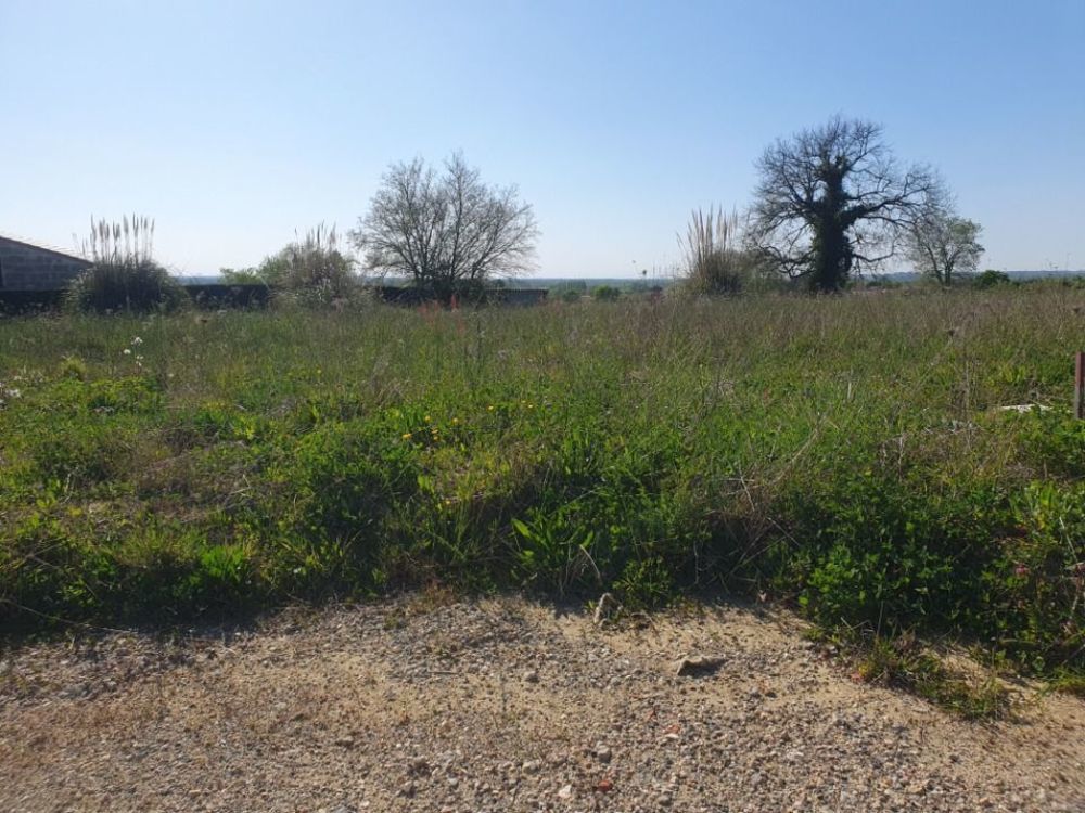 Maisons neuves   Saint-Gervais (33240)