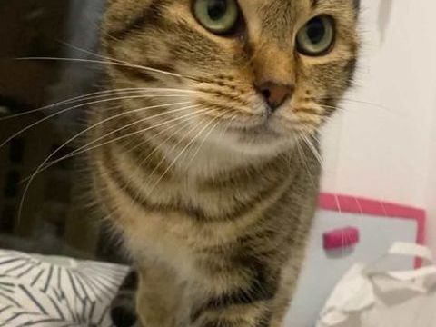 Citronelle 100 44000 Nantes