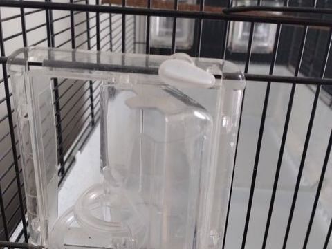 Cage oiseaux Canto 60 17610 Chaniers