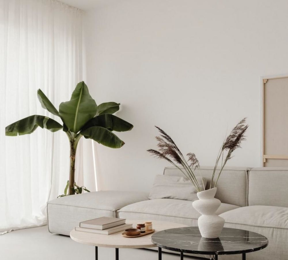 Appartements neufs   Montpellier (34070)