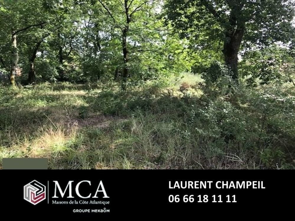 Maisons neuves   Labenne (40530)