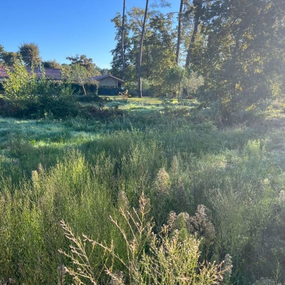 Maisons neuves   Martignas-sur-Jalle (33127)