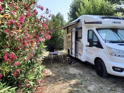 FORD Camping car 2022 occasion Pont-de-Vaux 01190