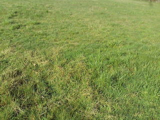  Terrain � vendre 1770 m� Huriel