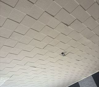  Appartement � louer 3/4 pi�ces 55 m�