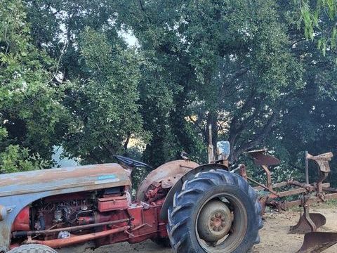MASSEY FERGUSSON Utilitaire 1957 occasion Grimaud 83310