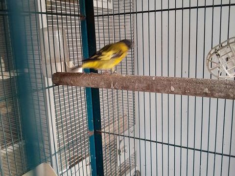 Tarin magellan. 70 12100 Millau