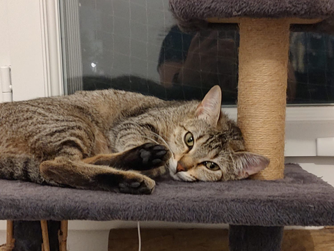 Salab 200 44000 Nantes