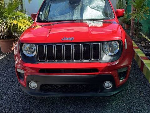 Jeep Renegade 1.3 GSE T4 180 ch 4x4 BVA9 Limited 2020 occasion Baie-Mahault 97122