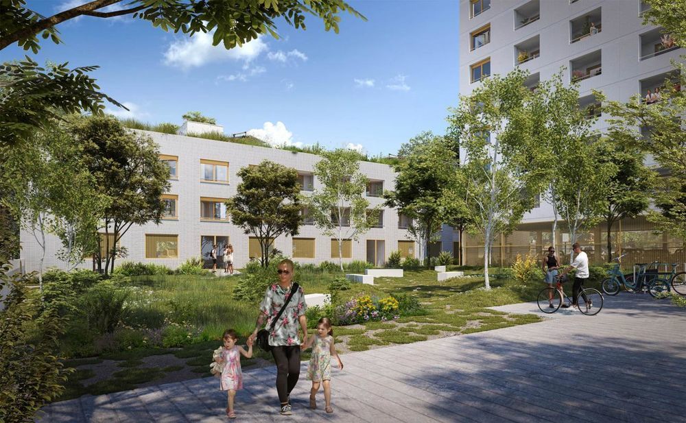 Appartements neufs   Toulouse (31400)