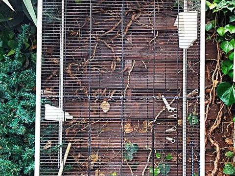 Grande cage Id&eacute;al balcon 60 06700 Saint-laurent-du-var