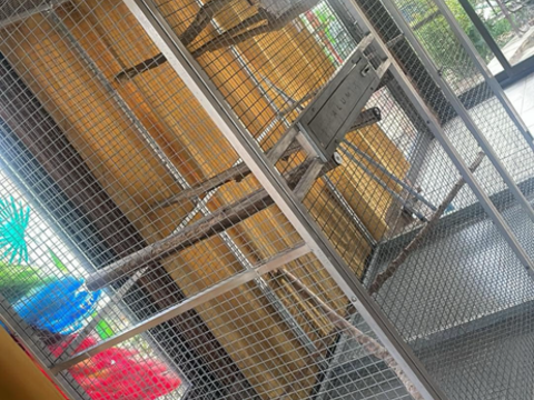 Voli&egrave;re / cage 650 24460 Saint-front-d'alemps