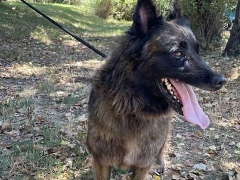 N'J 130 26700 Pierrelatte