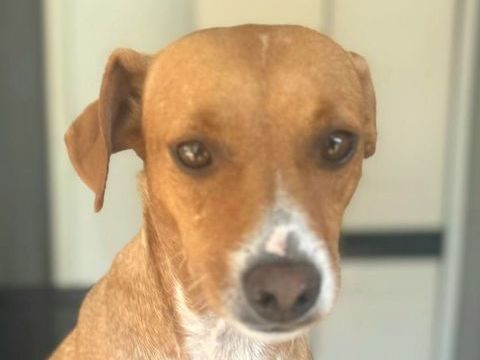 RAFA 320 27620 Gasny