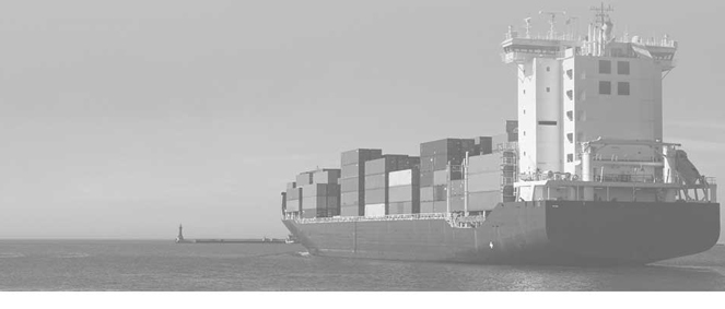 Socar Shipping Lyon, concessionnaire 69