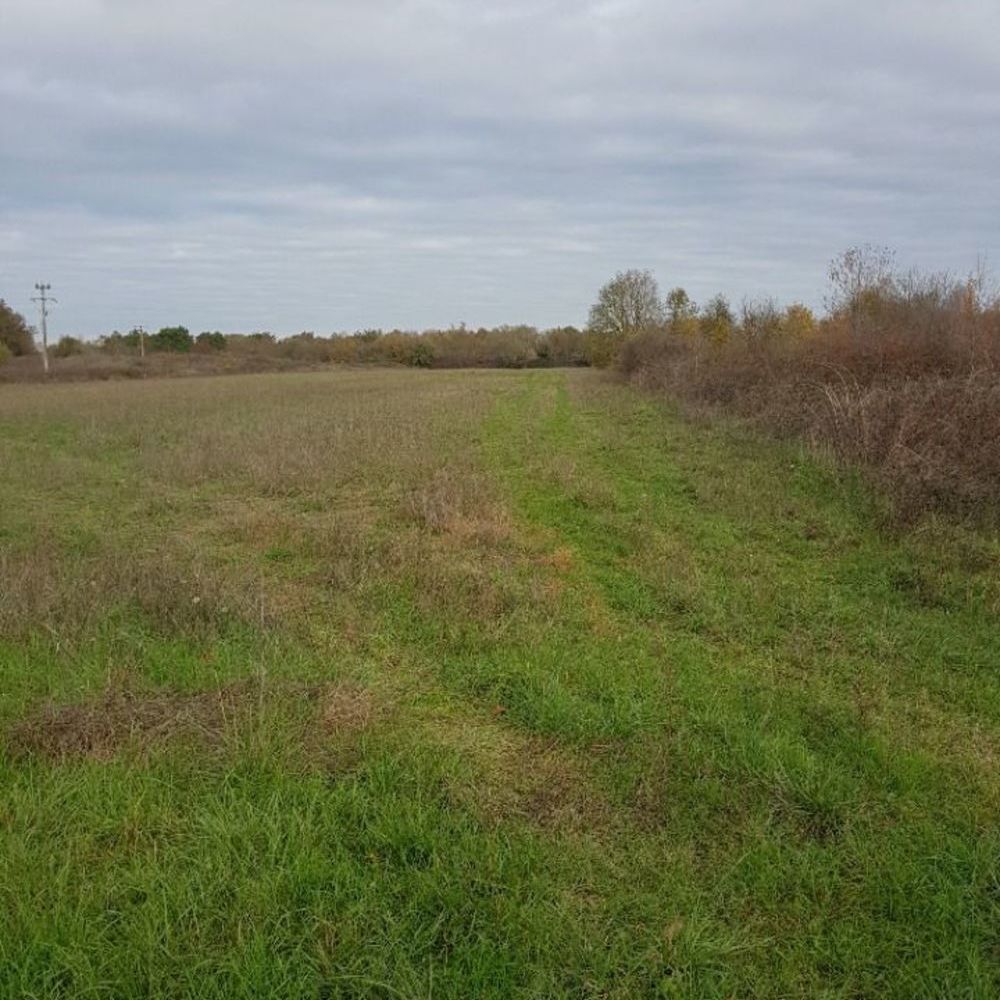 Maisons neuves   Saint-Ciers-d'Abzac (33910)