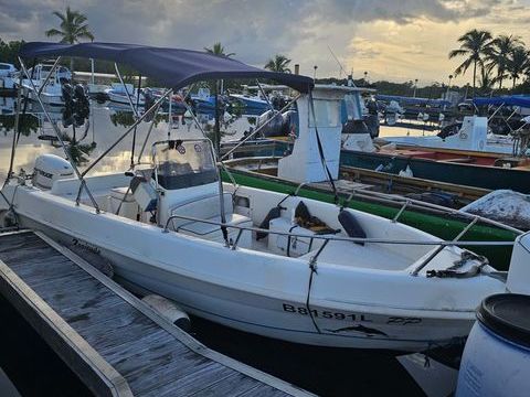 Bateaux &agrave; moteur P&ecirc;che-promenade 2010 occasion Guadeloupe 97139