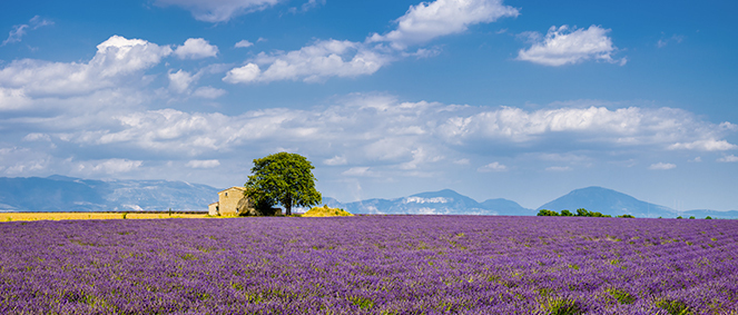 Agence CIMM IMMOBILIER PEIPIN Peipin