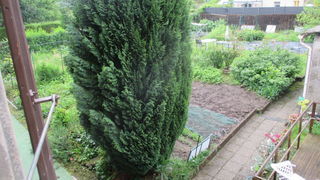  Appartement � louer 1 pi�ce 31 m�