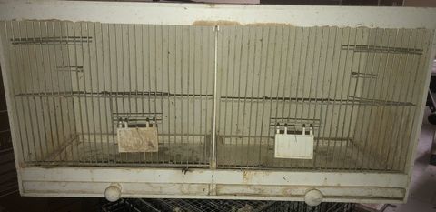 Cage batteries oiseaux 25 95190 Goussainville