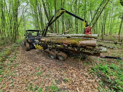 YAMAHA Quad 2022 occasion Leurville 52700