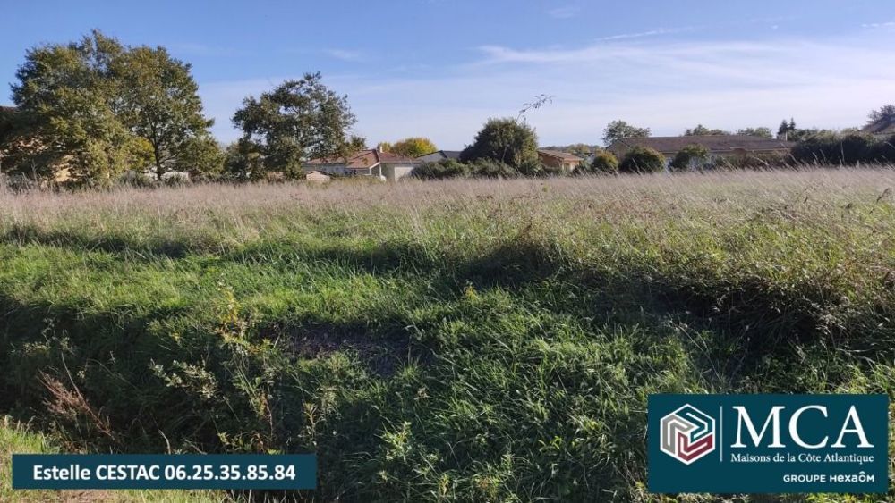 Maisons neuves   Saint-Perdon (40090)