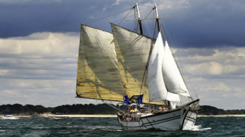 Voiliers Monocoque 1970 occasion Canet-en-Roussillon 66140