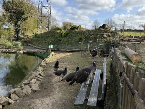 Paon bleu 60 29290 Milizac