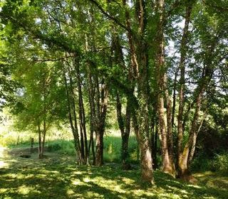  Terrain � vendre 1939 m�