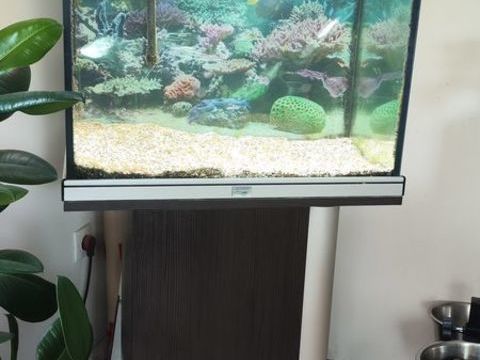 Aquarium Aquadisio meuble &eacute;clairage 100 93500 Pantin