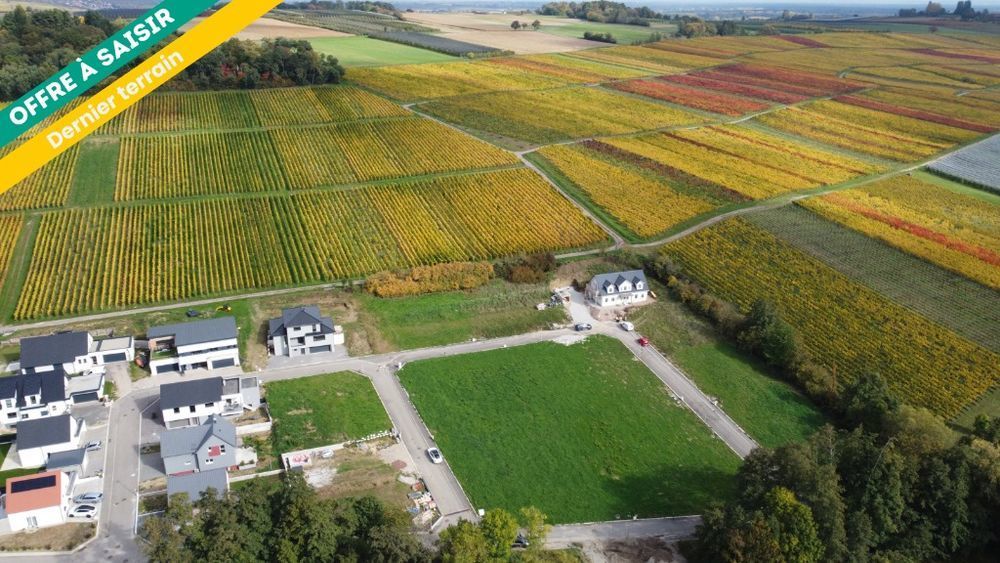 Terrains � batir   Oberhoffen-l�s-Wissembourg (67160)