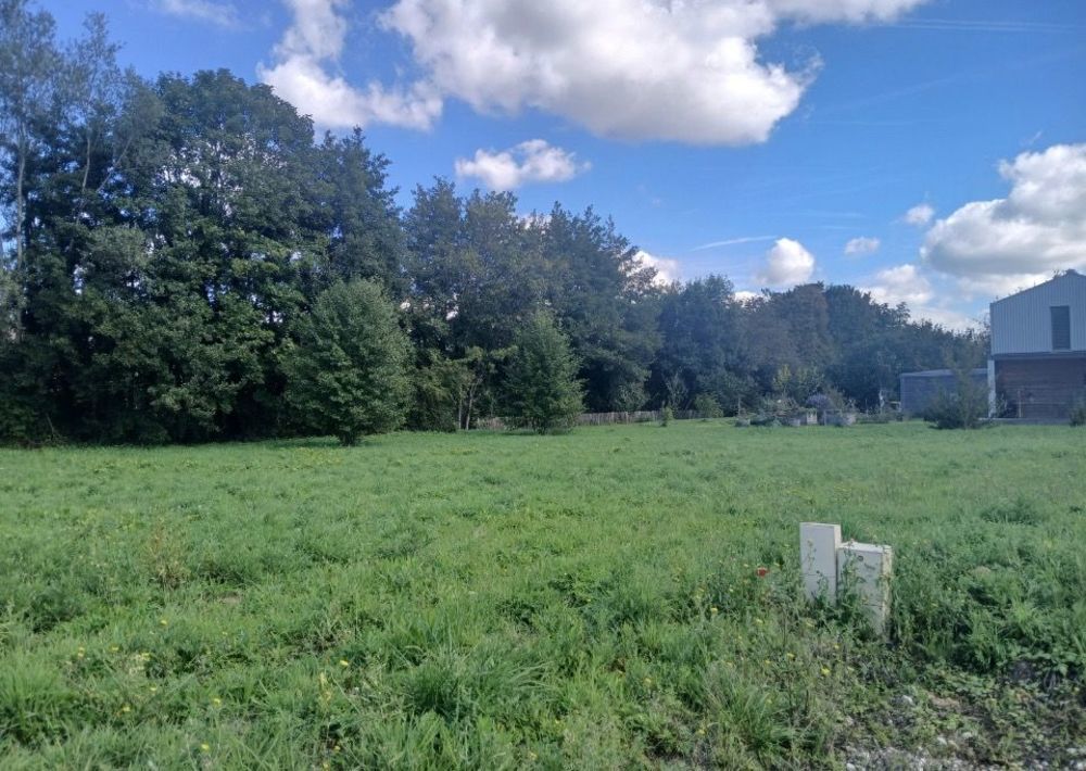   Prignac-et-Marcamps (33710)